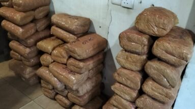 கேரள கஞ்சா கைப்பற்றப்பட்டுள்ளது